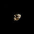 Skull Stud Earring 14k Gold